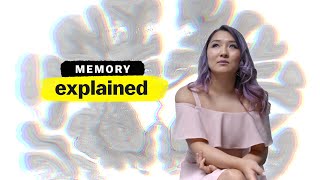 Memory Explained  FULL EPISODE  Vox  Netflix [upl. by Benoit]