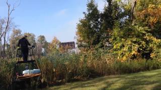 Cattail  Phragmites Removal [upl. by Naejarual851]