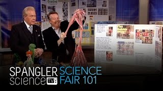 Science Fair 101  Project Ideas [upl. by Gypsy855]