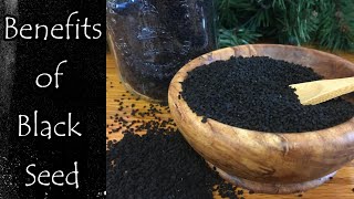 Benefits of Black Seed Nigella Sativa [upl. by Almond]