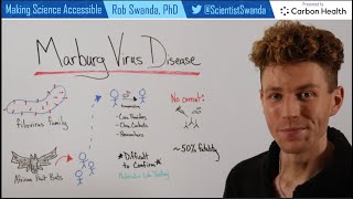 Marburg Virus Disease Breakdown [upl. by Leah]