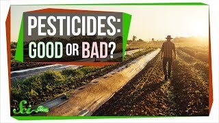 How Safe Are Pesticides Really [upl. by Gabbie739]