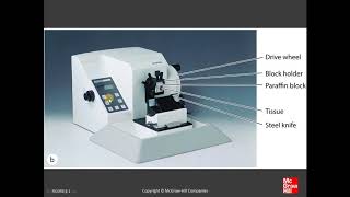 1 Histology amp its Methods of Study [upl. by Johnson645]