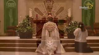 Eucharistic Adoration St Stephen Catholic Church [upl. by Lyall143]