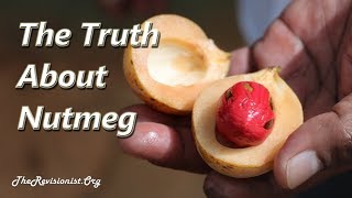 Nutmeg – An Overview of a Psychoactive Spice with Therapeutic Properties [upl. by Pinchas142]