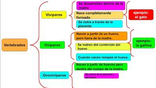 ESQUEMA DE LLAVES [upl. by Mannes]