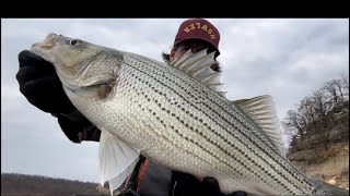 Getting Bit On Skiatook Lake [upl. by Py]