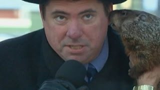 Groundhog Bites Wisconsin Mayor at Ceremony [upl. by Ahsienar470]