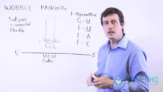 Wobble Pairing Study Tips [upl. by Macmillan]