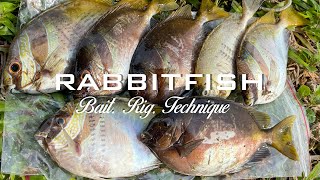 Rabbitfish Season Fishing  What Rig I use [upl. by Iasi]