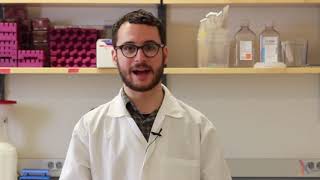 PCR Method Video [upl. by Etnuaed]