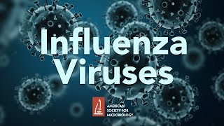 Influenza Viruses by James McSharry PhD [upl. by Lihas]