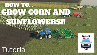 How To Grow Corn and Sunflowers in Farming Simulator 19 [upl. by Emor994]