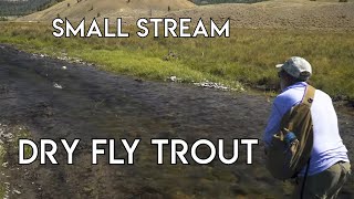 Small Stream Dry Fly Nirvana  Dubois Wyoming [upl. by Ialda]