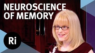 The Neuroscience of Memory  Eleanor Maguire [upl. by Pesek]