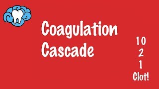 Coagulation Cascade  Hemostasis Part 2 [upl. by Teerprug]