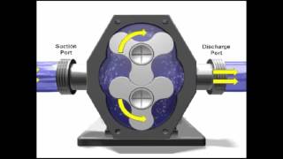 Rotary Pump Demonstration [upl. by Aicnilav]