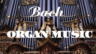 Bach  The Best Organ Music [upl. by Gnay]