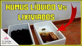 ✅ Madurar los LIXIVIADOS del vermicompostaje Humus de lombriz líquido 🌱 [upl. by Harol337]