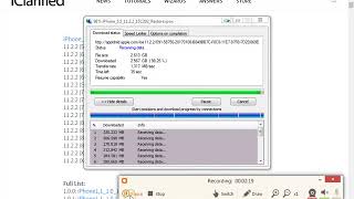 How To Download Iphone Firmware Ipsw File With Internet Download Manager [upl. by Sualokin]