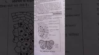 microsporangium diagram [upl. by Amalle]