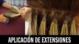 Aplicación de extensiones  Ana Mireles [upl. by Cave]