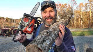 Its So Easy How to make Shiitake Mushroom Logs [upl. by Voltmer]