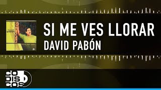 Si Me Ves Llorar David Pabón  Video Letra [upl. by Ferrell976]