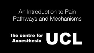 An Introduction to Pain Pathways and Mechanisms [upl. by Ardyth]