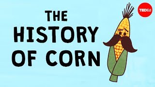 The history of the world according to corn  Chris A Kniesly [upl. by Niessuh]