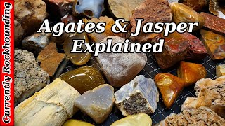 Agates amp Jasper  What Do You Really Know About Them [upl. by Milon]