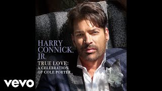 Harry Connick Jr  You Do Something To Me Audio [upl. by Linker]