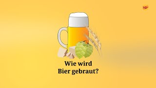 Kurz erklärt Wie wird Bier gebraut [upl. by Abihsat]