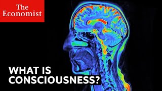 What is consciousness [upl. by Eimmat390]