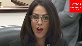 Lauren Boebert Calls Out Dems I Did Not Hear The Outcry From Dems Over Firings Of Energy Workers [upl. by Trinity419]