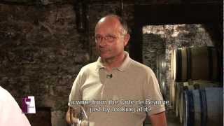 Understanding Burgundy Chablis Grand Crus with Bernard Raveneau [upl. by Uis508]