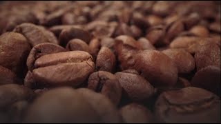 How to Decaffeinate Coffee Coffee Decaffeination Processes [upl. by Denice865]