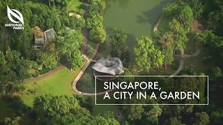 Singapore A City In A Garden [upl. by Assirehc]