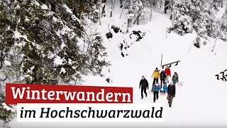 Winterwandern  Hochschwarzwald Winterliebe [upl. by Atsirc]