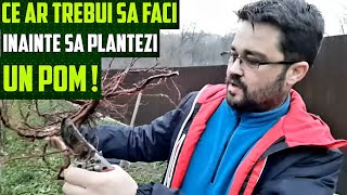 ce ar trebui sa faci când plantezi un pom fructifer [upl. by Stewardson710]