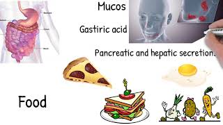 osmotic vs secretory diarrhea [upl. by Neened]