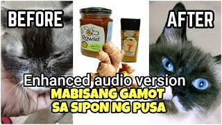 Gamot sa ubo at sipon ng pusa  Paano gamutin ang sipon at ubo  short version and enhanced audio [upl. by Thierry]