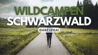 IM SCHWARZWALD DARF MAN LEGAL WILDCAMPEN [upl. by Orest]