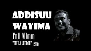 1HR ADDISU WAYYIMA OLD SONG FULL ALBUM quotDUULA LUBBUUquot [upl. by Flip]