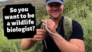 How To Become A Wildlife Biologist [upl. by Nnaecyoj720]