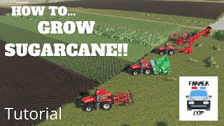 How to Grow Sugarcane in Farming Simulator 19 [upl. by Washko]