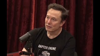 BOMBSHELL Elon Musk drops news Americans have FEARED [upl. by Magdalena493]