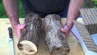 UNBOXING  SHIITAKE MUSHROOM LOG KIT [upl. by Eelyk]