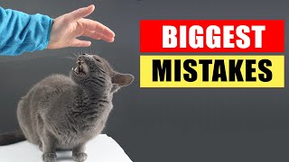 20 Common Mistakes Cat Owners Make [upl. by Iney126]