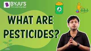 Pesticides  Uses Disadvantages and Advantages [upl. by Arammat161]